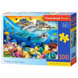 Puzzle 100 dolphins in tropics CASTOR