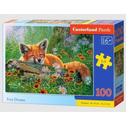 Puzzle 100 foxy dreams CASTOR