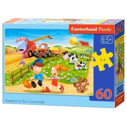 Puzzle 60el.summer countryside CASTOR