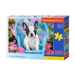 Puzzle 100 french bulldog pupy CASTOR